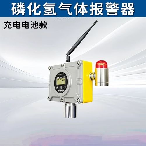 昂明船级泵吸式气体检测仪 海事船舱测氧与磷化氢报警的专业解决方案